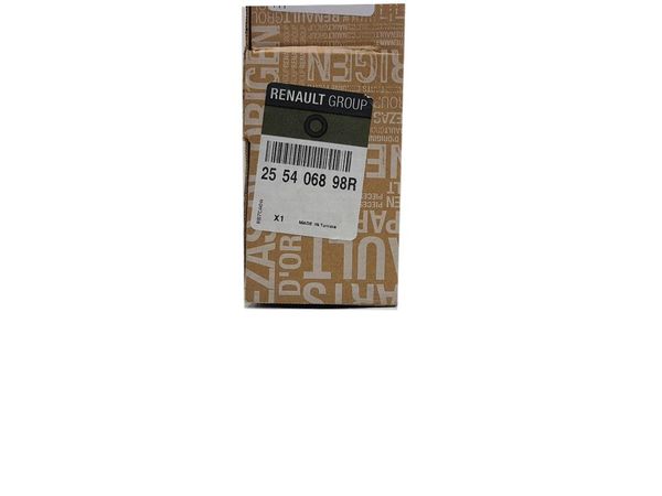Világításkapcsoló  Duster 255406898R Renault